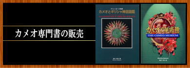カメオ 専門書