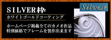 カメオ シルバー枠 アートフェリーチェ
