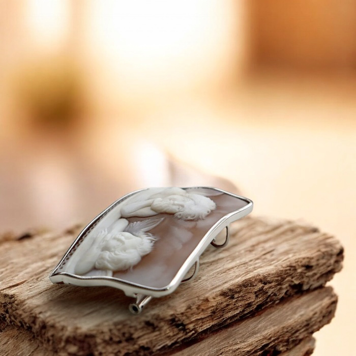 �V�g�̃V�F���J���I �A�b�J�j�[�g�� �J���I�u���[�`���l�b�N���X �V���o�[�g 2WAY