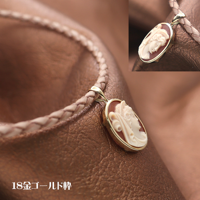 ���_���B�[�i�X�̐}���̃J���I�l�b�N���X