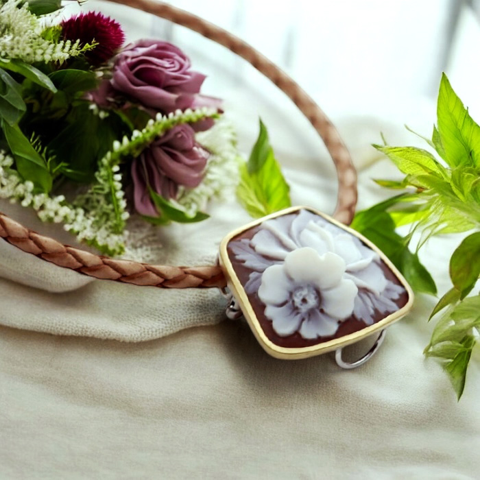 �Ԃ̃V�F���J���I ���Ԃ�̃u���[�`���l�b�N���X 18���g �t�����[�J���I