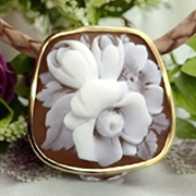 �Ԃ̃V�F���J���I ���Ԃ�̃u���[�`���l�b�N���X 18���g �t�����[�J���I