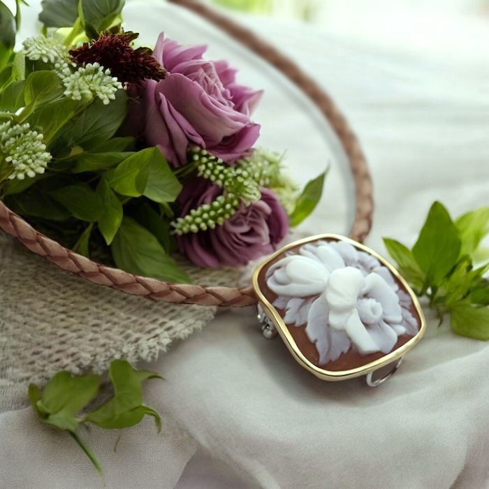 �Ԃ̃V�F���J���I ���Ԃ�̃u���[�`���l�b�N���X 18���g �t�����[�J���I