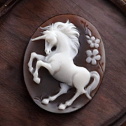 ���j�R�[�� �n ���`�[�t �����ȃJ���I ���̒��� �C�^���A�J���I �y���_���g