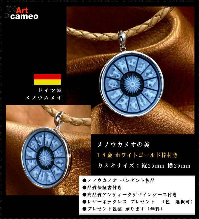 カメオペンダント＆ネックレスの写真。１２星座の図柄。